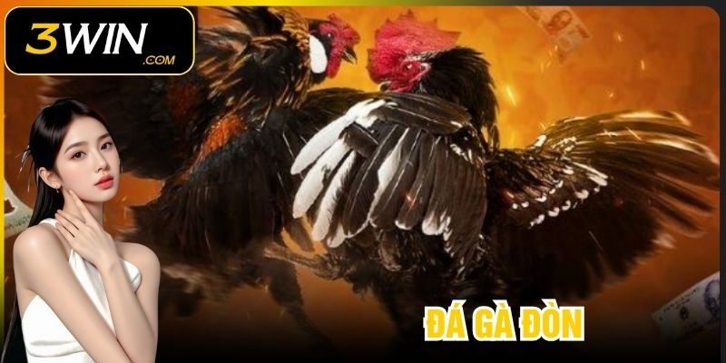 Đá Gà Đòn 3WIN – Nghệ Thuật So Tài Và Chiến Thắng