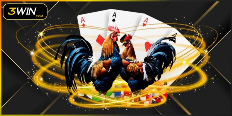 Hệ thống phát trực tiếp đá gà chất lượng, cập nhật kèo nhanh