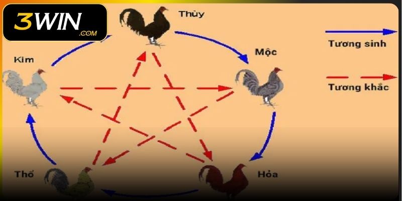 Màu mạng gà đá được nhiều người chơi tìm hiểu