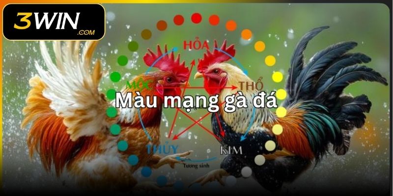 Một số cách chọn màu mệnh chuẩn xác nhất 