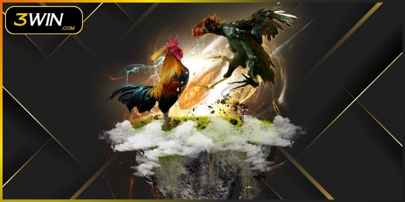 Quan sát phong độ chiến kê qua các trận để chọn kèo