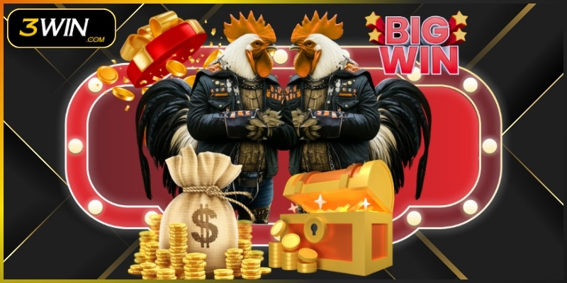 Thêm cựa dao để chiến kê ra đòn tàn khốc, thắng nhanh