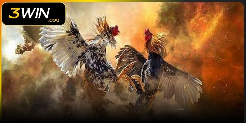 Top 3 thể loại đá gà 3WIN được yêu thích